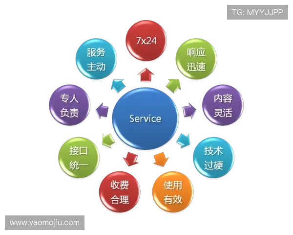 亚星娱乐旗舰网站的技术支持与客户服务体系全面介绍