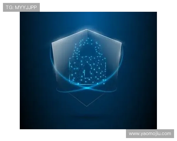 亚星手机版登录入口安全验证流程详解，保障账号信息安全