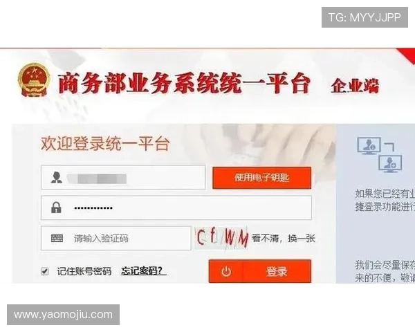 最新亚星官网登录方法全流程解析确保账号安全顺畅登录