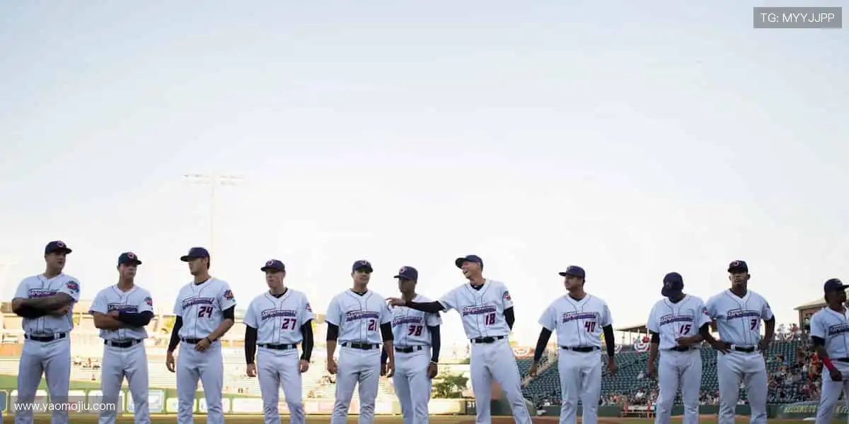 🎯 专业装备，让你的每一次挥拍都精准如冠军！